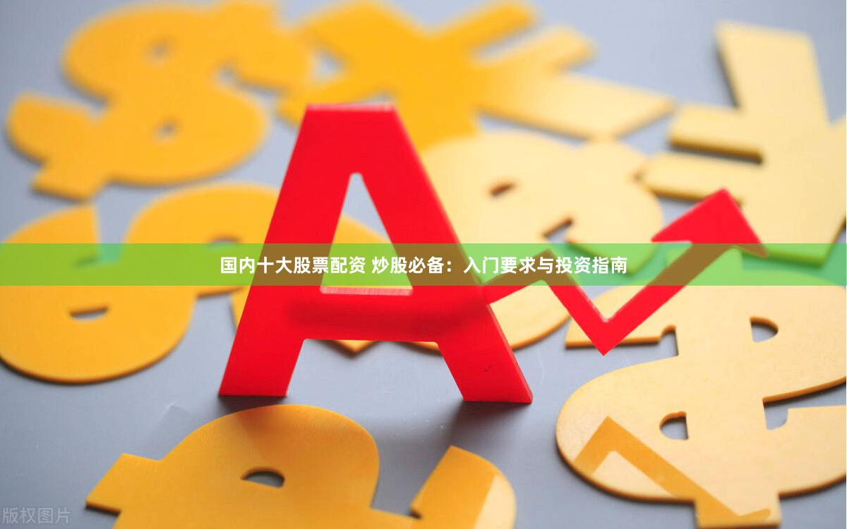 国内十大股票配资 炒股必备：入门要求与投资指南