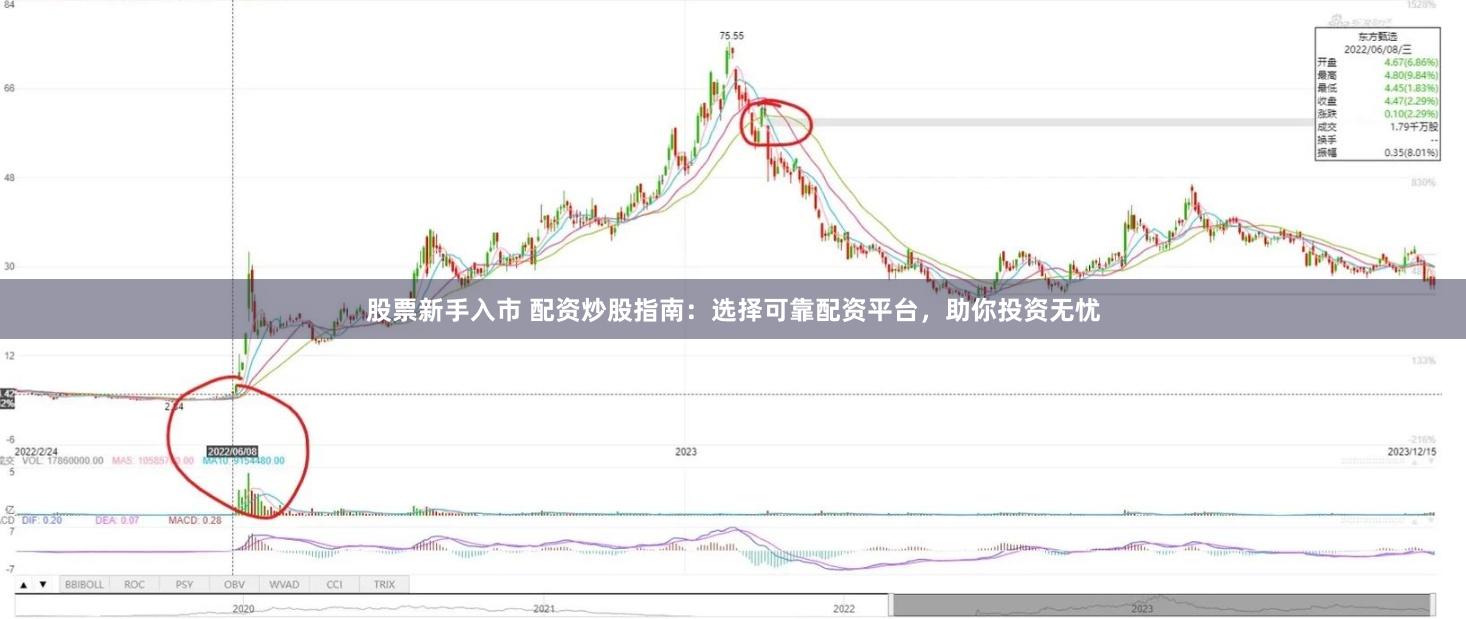 股票新手入市 配资炒股指南：选择可靠配资平台，助你投资无忧